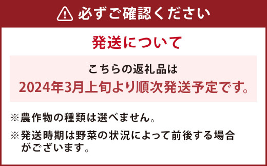 【2024年3月上旬より発送開始】ひとよし球磨産 新鮮農作物詰合せ