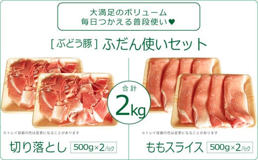 綾ぶどう豚ふだん使いセット2kg（500g×2パック×2種）（36-198）