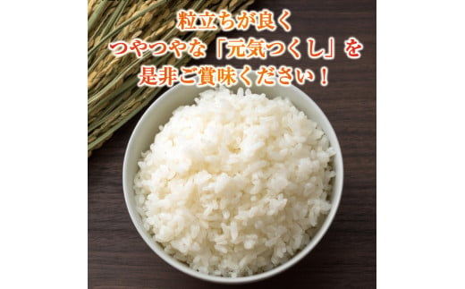 令和6年産 福岡県産 ブランド米「元気つくし」無洗米 20kg [a8260] 株式会社 ゼロプラス 【返礼品】添田町 ふるさと納税