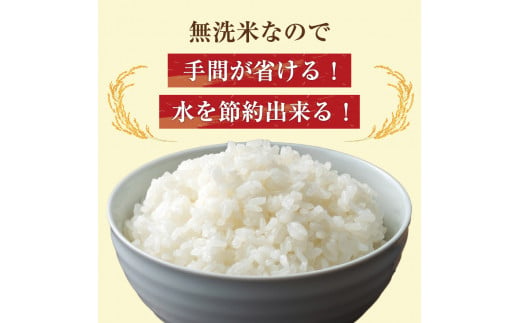 令和6年産 福岡県産 ブランド米「元気つくし」無洗米 20kg [a8260] 株式会社 ゼロプラス 【返礼品】添田町 ふるさと納税