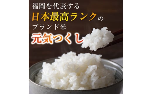 令和6年産 福岡県産 ブランド米「元気つくし」無洗米 20kg [a8260] 株式会社 ゼロプラス 【返礼品】添田町 ふるさと納税