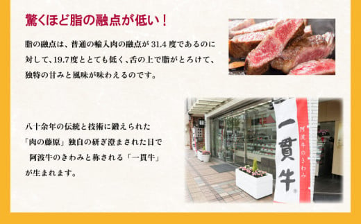 黒毛和牛 ロース 焼肉 500g 和牛 とくしま三つ星ビーフ 牛肉 ぎゅうにく 牛 肉 ビーフ BBQ アウトドア キャンプ おかず おつまみ 惣菜 弁当 日用 お祝い 誕生日 記念日 ギフト 贈答 プレゼント お取り寄せ グルメ 冷凍 小分け 送料無料 徳島県 阿波市 肉の藤原