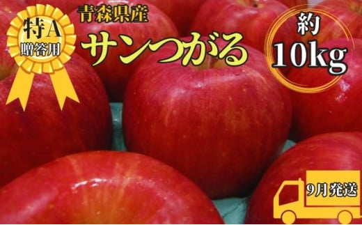 サンつがる約10kg贈答用【特A】（9月発送）青森県産