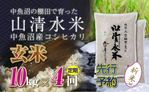 【新米先行受付】【定期便／全4回】玄米10kg　新潟県魚沼産コシヒカリ「山清水米」