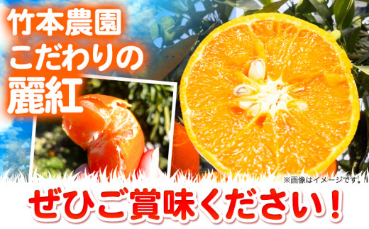 麗紅 (れいこう) 2kg サイズ おまかせ《2025年2月中旬-4月下旬頃出荷》竹本農園 和歌山県 日高川町 旬 新鮮 果物 柑橘 フルーツ 国産 送料無料 お試し サイズ 2000g みかん