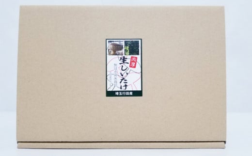 No.135 行田産こだわり生椎茸　約900g ／ きのこ しいたけ シイタケ 埼玉県