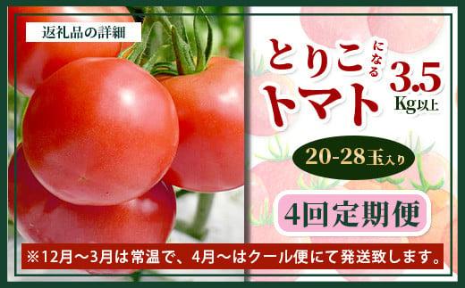 【先行予約】 たにぐちファーム とりこになるトマト 【3.5kg以上×4回定期便】【2024年12月から出荷】Ricotomato とりこになる トマト [定期便 野菜定期便 定期 野菜 トマト 新鮮 サラダ 生野菜 とまと おすすめ 送料無料] D-160