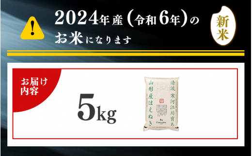 ＜ 2025年7月下旬＞ 令和6年産 はえぬき 5kg (5kg×1袋)  山形県産 010-C-JA007-2025-07G