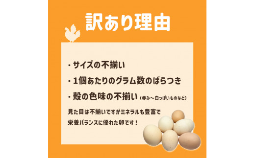 ましくんの完全放し飼い土佐ジローの卵 18個入り 訳あり 不揃い 規格外 ブランド卵 タマゴ 玉子 たまご 生卵 鶏卵 土佐地鶏 濃厚 新鮮 食品 訳アリ 自宅用 ご家庭用【R01217】