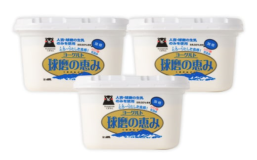 球磨の恵み ヨーグルト 加糖 1kg×3パック 合計3kg