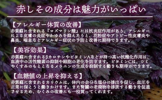 【9月発送】東白川村産赤しそ使用！ しそしそばなし 12本 720ml しそジュース 紫蘇 赤しそ 紫蘇ジュース ジュース 3000円 三万円