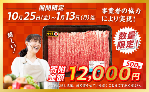 【期間・数量限定】宮崎牛赤身（ウデ）焼きしゃぶ500g|  牛肉 ブランド牛 和牛 赤身 ウデ肉 ウデ 焼きしゃぶ しゃぶしゃぶ すき焼き 贈答用 贈答 贈り物 ギフト 記念日 誕生日 炒め物 惣菜 おかず 内閣総理大臣賞4大会連続受賞 ミヤチク アウトドア キャンプ バーベキュー BBQ グランピング プレゼント |_Tk031-015-D