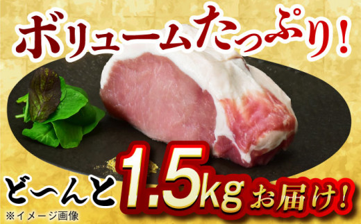 【肉塊で肉会】大西海SPF豚 背ロースブロック 計1.5kg（2～3個）長崎県/長崎県農協直販 [42ZZAA088] 肉 豚 ぶた ブタ ロース 塊 ブロック 西海市 長崎 九州