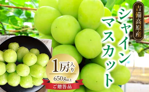 岡山県　吉備高原産　シャインマスカット　1房入り(650g以上)　ご贈答品 TY0-0015