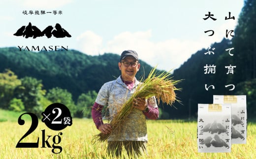 【令和6年産米】すがたらいす 山仙 (いのちの壱)  2kg×2袋（4kg）すがたらいす 4キロ 下呂市金山産 2024年産 お米 精米 米 いのちのいち やません