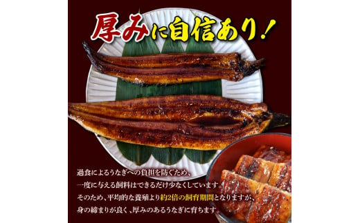 【数量限定】仁淀川特大肉厚うなぎ4尾セット タレ付き うなぎ 鰻 ウナギ 蒲焼き かば焼き 1尾200g超え 仁淀川 国産 太化うなぎ おいしい 人気 冷凍 真空パック 夏