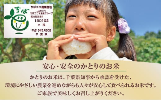 令和6年産 新米 コシヒカリ精米 10kg（5kg×2）千葉県神崎町産】[001-a004]