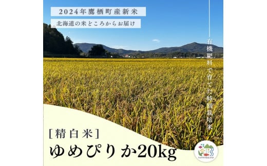 A254【令和６年産】ゆめぴりか（精白米）特Aランク 10kg×2袋 20kg 北海道 鷹栖町 たかすのおむすび 米 コメ ご飯 精 白米 お米 ゆめぴりか