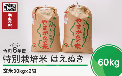 新米 令和6年11月上旬発送 はえぬき60㎏ 玄米 令和6年産 ja-hagxb60-11f