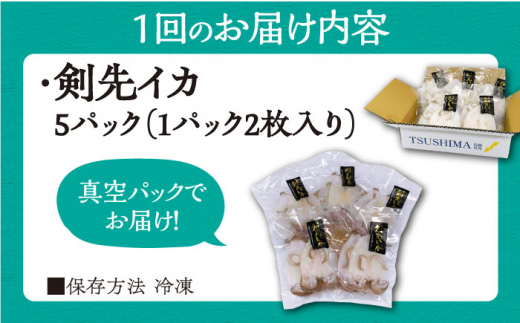 【全2回定期便】対馬産 剣先いか 生 干し【一般社団法人 対馬地域商社】《対馬市》剣先イカ 甘い 冷凍 新鮮 海鮮 一夜干し おつまみ 海の幸 [WAC059]