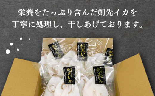 【全2回定期便】対馬産 剣先いか 生 干し【一般社団法人 対馬地域商社】《対馬市》剣先イカ 甘い 冷凍 新鮮 海鮮 一夜干し おつまみ 海の幸 [WAC059]