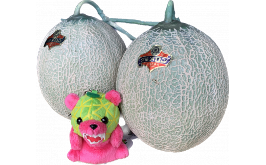 【先行予約受付中】「メロン熊くたくたストラップピンク」と「夕張メロン優２玉（小玉）」セット W42