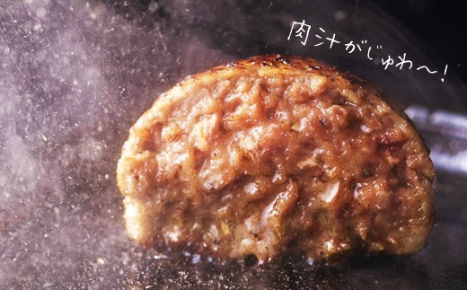 ハンバーグ 旨味凝縮あか牛100％ハンバーグ　750ｇ（150ｇ×５個） | 熊本県 熊本 くまもと 和水町 なごみまち なごみ 牛肉 肉 あか牛 赤牛 肥後 冷凍