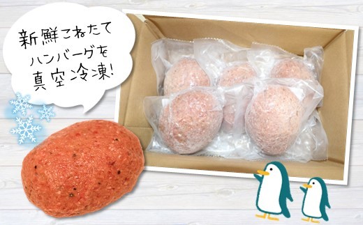 ハンバーグ 旨味凝縮あか牛100％ハンバーグ　750ｇ（150ｇ×５個） | 熊本県 熊本 くまもと 和水町 なごみまち なごみ 牛肉 肉 あか牛 赤牛 肥後 冷凍