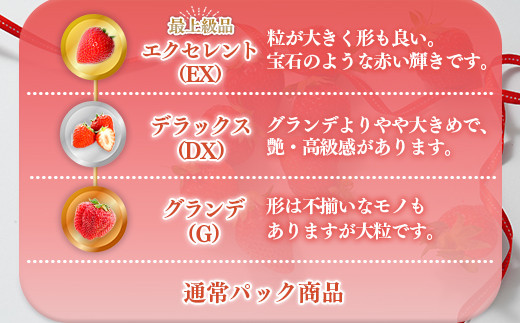 ＜先行予約受付中！2024年12月中に発送予定＞福岡県産 あまおう(計約500g・250g×2P)いちご 苺 フルーツ 果物 くだもの 冷蔵 ＜離島配送不可＞【ksg1502】【くまふる春日】