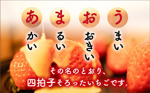 ＜先行予約受付中！2024年12月中に発送予定＞福岡県産 あまおう(計約500g・250g×2P)いちご 苺 フルーツ 果物 くだもの 冷蔵 ＜離島配送不可＞【ksg1502】【くまふる春日】