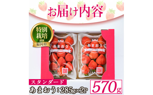 ＜予約受付中！2024年12月中旬より順次発送予定＞うるう農園のスタンダードあまおう(計570g・285g×2P)  苺 いちご イチゴ 果物 フルーツ 国産 福岡県 ヨーグルト ジャム スムージー 冷蔵 特別栽培＜離島配送不可＞【ksg1218】【うるう農園】