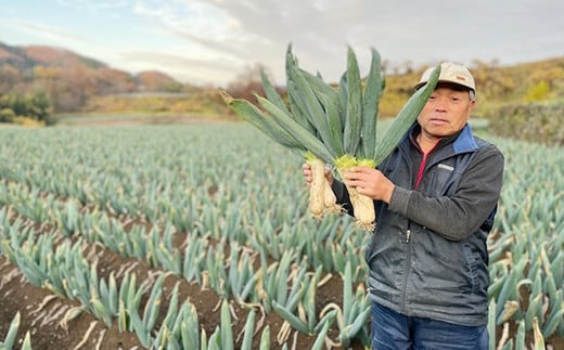 甘さが自慢の下仁田葱（Lサイズ 24本） とろける 甘い ねぎ ネギ 王様ねぎ 殿様ねぎ 特産 栄養たっぷり ブランド 上州ねぎ すきやき F21K-401