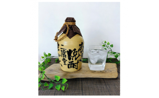 ＜2ヵ月毎定期便＞二階堂吉四六つぼと吉四六びん25度(720ml)2本セット 全6回【4009961】