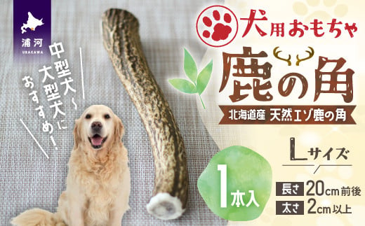 北海道の天然エゾ鹿の角を加工し、犬用のおもちゃに仕上げました。