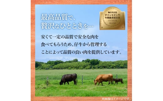 ＼お歳暮ギフト対象品／五つ星ひょうごセット「プレミアム牛タンコロッケ＆海苔香」《 牛タンコロッケ コロッケ 志方亭 国産 牛肉 手作り 海苔 セット 詰め合わせ 送料無料 》【2401I00404】