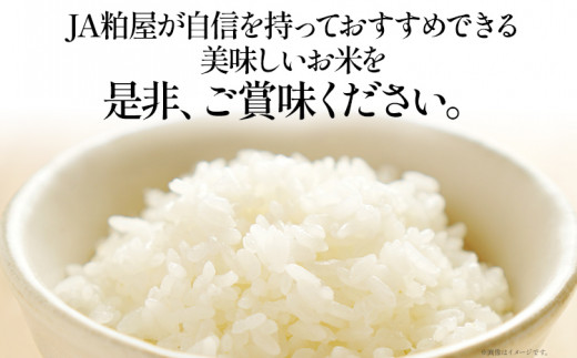 【3ヶ月 定期便】夢つくし 合計15kg 5kg×3回 白米 お米 ご飯 米 精米 送料無料 お取り寄せグルメ お取り寄せ 福岡 お土産 九州 福岡土産 取り寄せ グルメ 福岡県