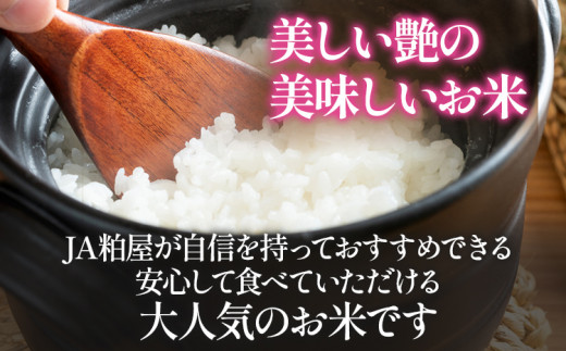 【3ヶ月 定期便】夢つくし 合計15kg 5kg×3回 白米 お米 ご飯 米 精米 送料無料 お取り寄せグルメ お取り寄せ 福岡 お土産 九州 福岡土産 取り寄せ グルメ 福岡県