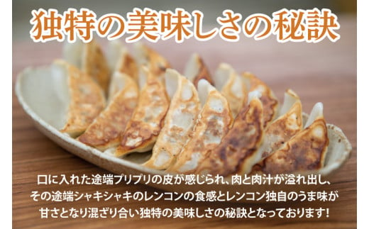 【大容量サイズ】蓮根肉餃子のおばけん【140粒】【野菜 ギョーザ れんこん しゃきしゃき おいしい 大容量 茨城県 鹿嶋市】（KBU-9）