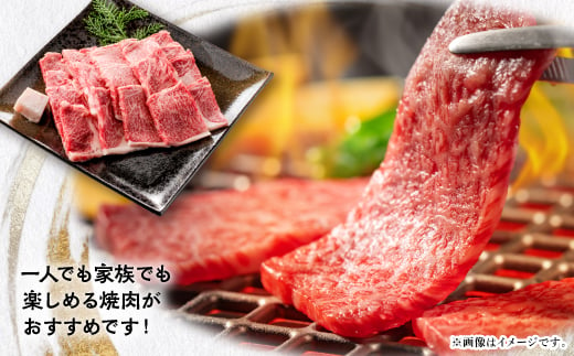 ＜飛騨牛＞ロース(焼肉用)500g【1451224】