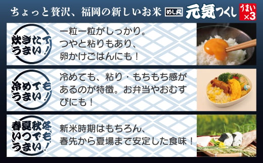 福岡県産米　無添加「元気つくし」パックご飯　200ｇ×24パック[F2308]