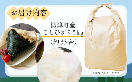 ＜令和6年産＞奥会津のきれいな水で大切に育てた　コシヒカリ精米「農家民宿米」5kg〈10月以降発送〉【1529973】