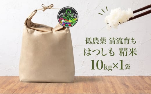 [№5308-0441]令和6年産 低農薬 清流育ち はつしも 精米 10kg×1袋 新米 お米 精白米 白米 米 ごはん 米 ご飯 ハツシモ あっさり ふっくら ブランド米 大粒 幻の米 お取り寄せ 自家用 贈答用 贈り物 御礼 産地直送 送料無料 美濃グリーン 岐阜県 美濃市