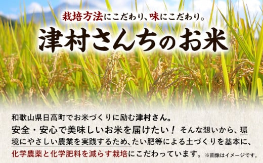 令和6年度産 新米 きぬひかり 2kg + ミルキープリンセス 2kg 人気品種食べ比べセット 津村佳宏《10月上旬-2月上旬に発送予定(土日祝除く)》和歌山県 日高町 白米 精米 キヌヒカリ 白ごはん ごはん