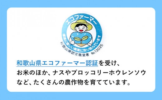 令和6年度産 新米 きぬひかり 2kg + ミルキープリンセス 2kg 人気品種食べ比べセット 津村佳宏《10月上旬-2月上旬に発送予定(土日祝除く)》和歌山県 日高町 白米 精米 キヌヒカリ 白ごはん ごはん