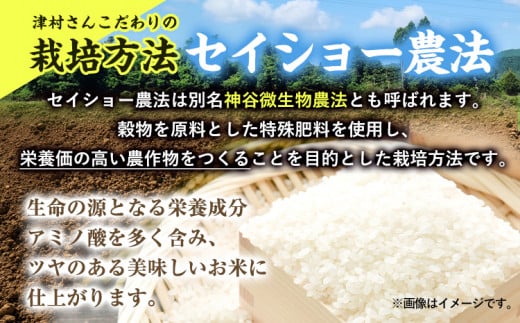 令和6年度産 新米 きぬひかり 2kg + ミルキープリンセス 2kg 人気品種食べ比べセット 津村佳宏《10月上旬-2月上旬に発送予定(土日祝除く)》和歌山県 日高町 白米 精米 キヌヒカリ 白ごはん ごはん