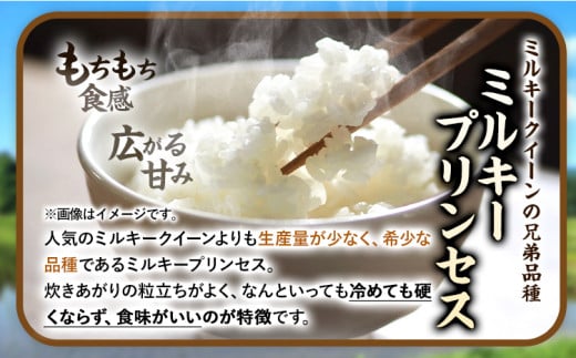 令和6年度産 新米 きぬひかり 2kg + ミルキープリンセス 2kg 人気品種食べ比べセット 津村佳宏《10月上旬-2月上旬に発送予定(土日祝除く)》和歌山県 日高町 白米 精米 キヌヒカリ 白ごはん ごはん