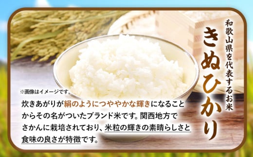 令和6年度産 新米 きぬひかり 2kg + ミルキープリンセス 2kg 人気品種食べ比べセット 津村佳宏《10月上旬-2月上旬に発送予定(土日祝除く)》和歌山県 日高町 白米 精米 キヌヒカリ 白ごはん ごはん