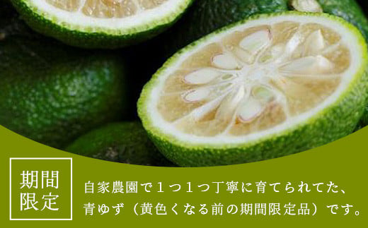 【先行受付・期間限定】徳島県那賀町産 木頭ゆず 青ゆず 1Kg (約12個) 【8月下旬頃より発送】徳島 木頭地区 栽培期間中農薬・化学肥料不使用 柚子 ユズ 青柚子 黄金の村 国産 新鮮 薬味 柑橘 産地直送 OM-135