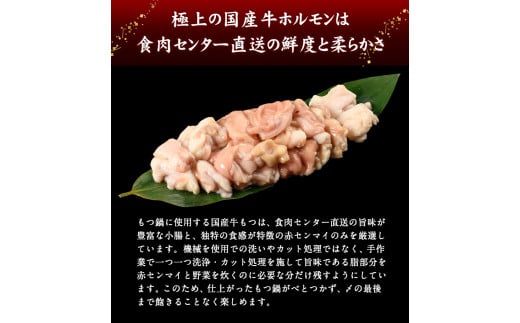 特撰博多もつ鍋 【あごだし味噌仕立て】 2～3人前 300g  《30日以内に出荷予定(土日祝除く)》