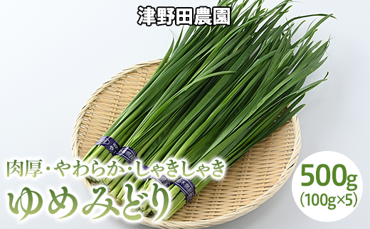 とちぎのニラ「ゆめみどり」500g (100g×5束) にら 栃木県産 肉厚 　※2024年1月～3月頃に順次発送予定